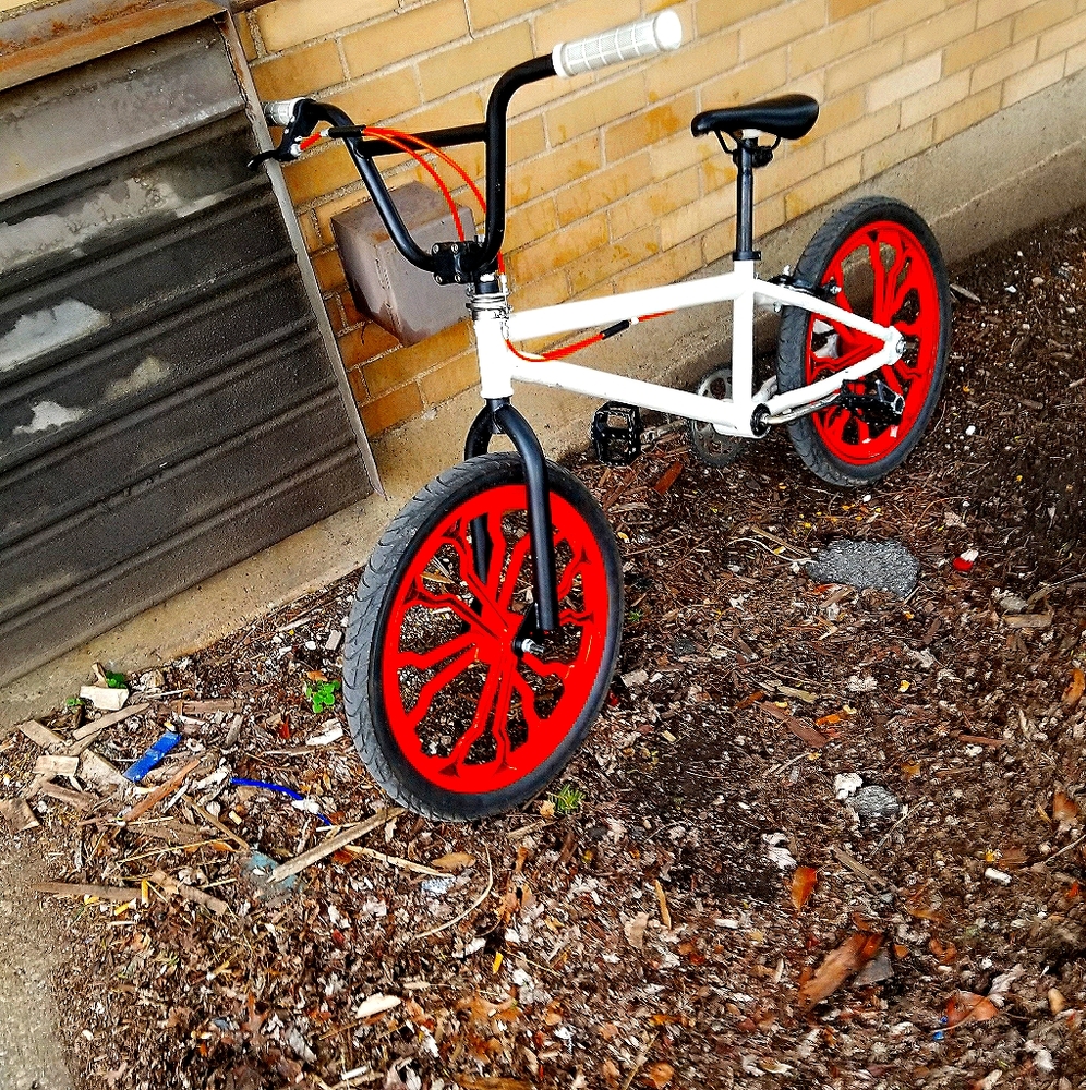 Custom painted bike